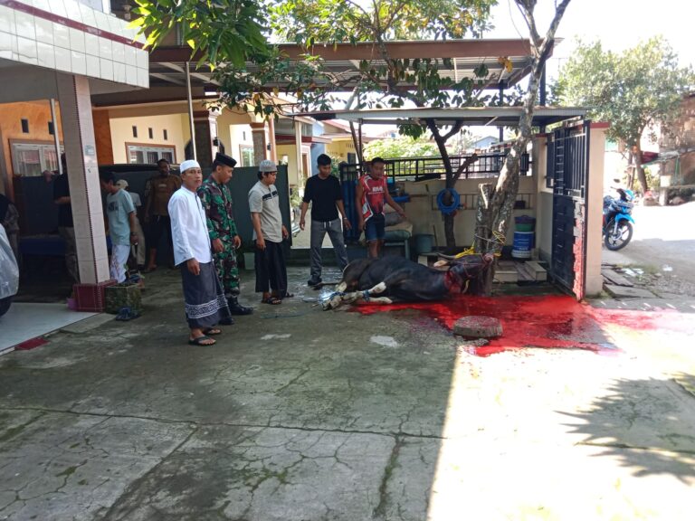 Babinsa Koramil 1426-03/Galut Hadiri Sholat Idul Adha dan Pemotongan Hewan Kurban di Desa Pakkabba