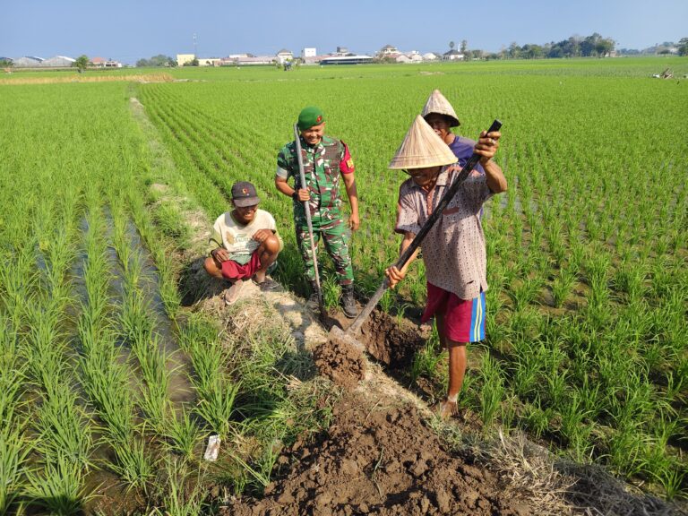 Tak Kenal Alat Canggih, Babinsa dan Petani Gotong Royong Buat Sumur Manual Untuk Sawah